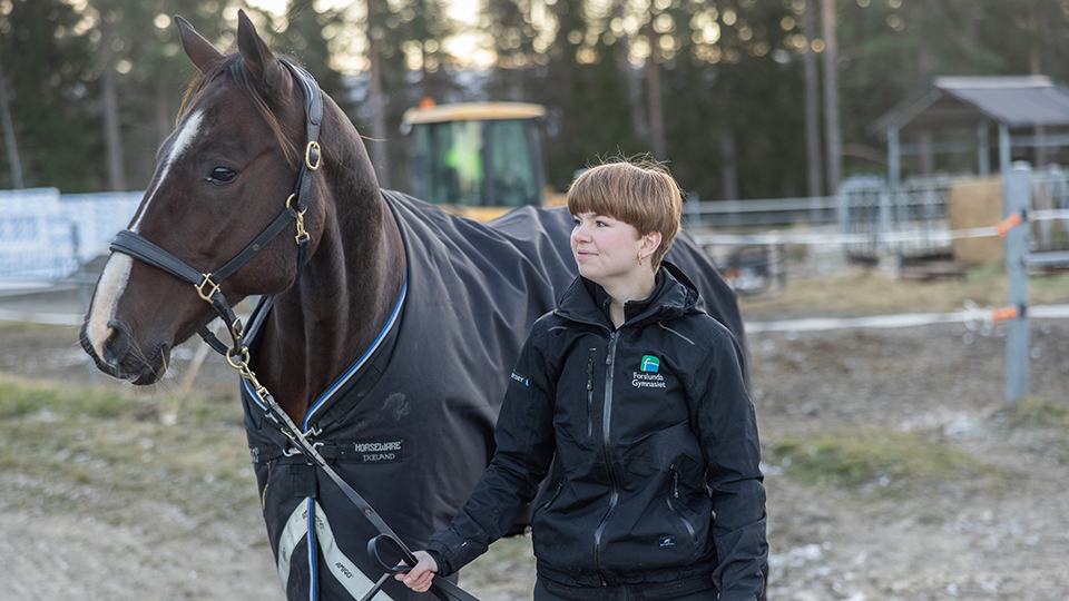 Bild för 'Naturbruksprogrammet Hästhållning'