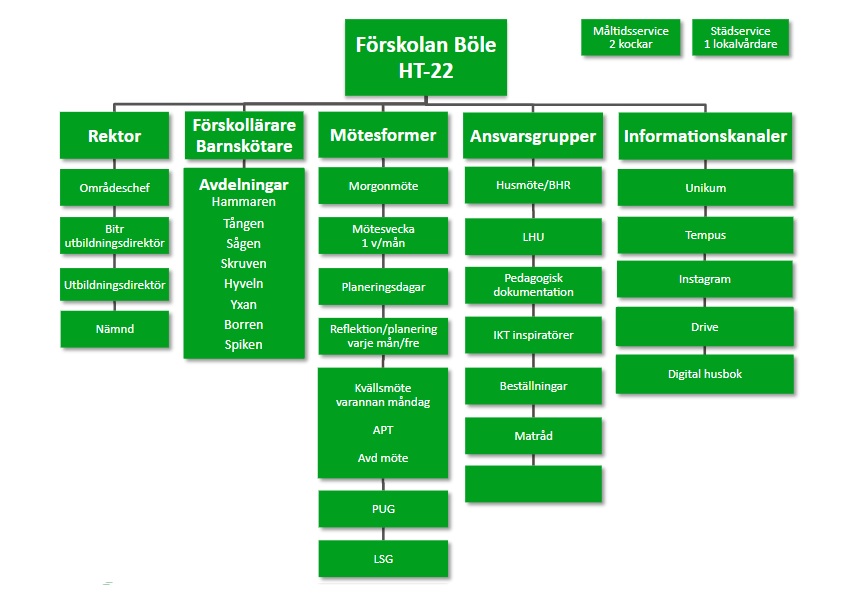 Böle organisation