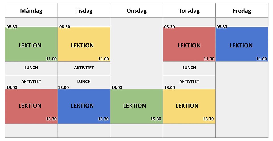 Midgårdsmodellen - exempel på elevschema